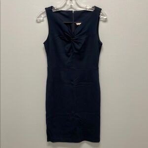 Banana Republic Size 4 Petite Navy Mini Dress